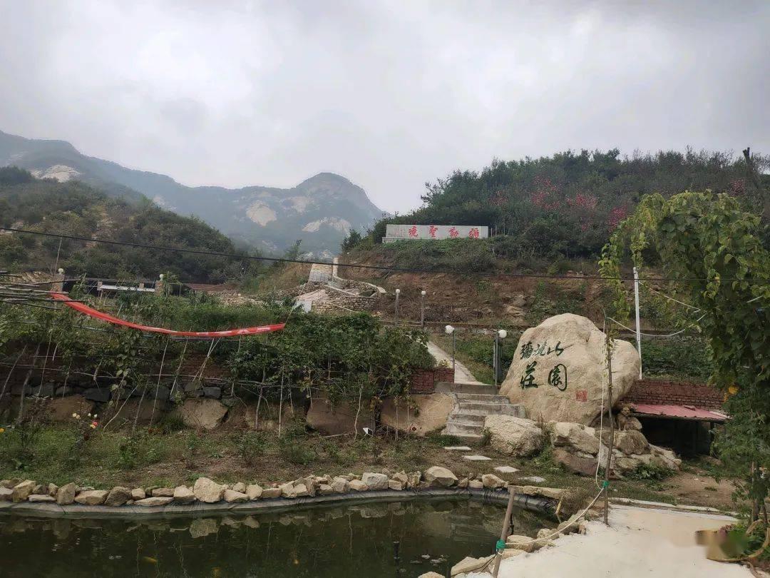 明天煲什么汤好?-专业有问必答平台
